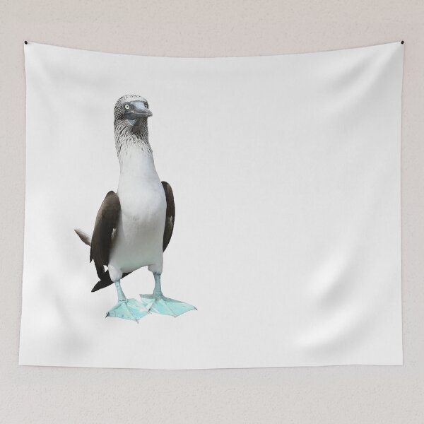 Item preview, Galapagos Blue-footed Boobie designed and sold by Samvara.