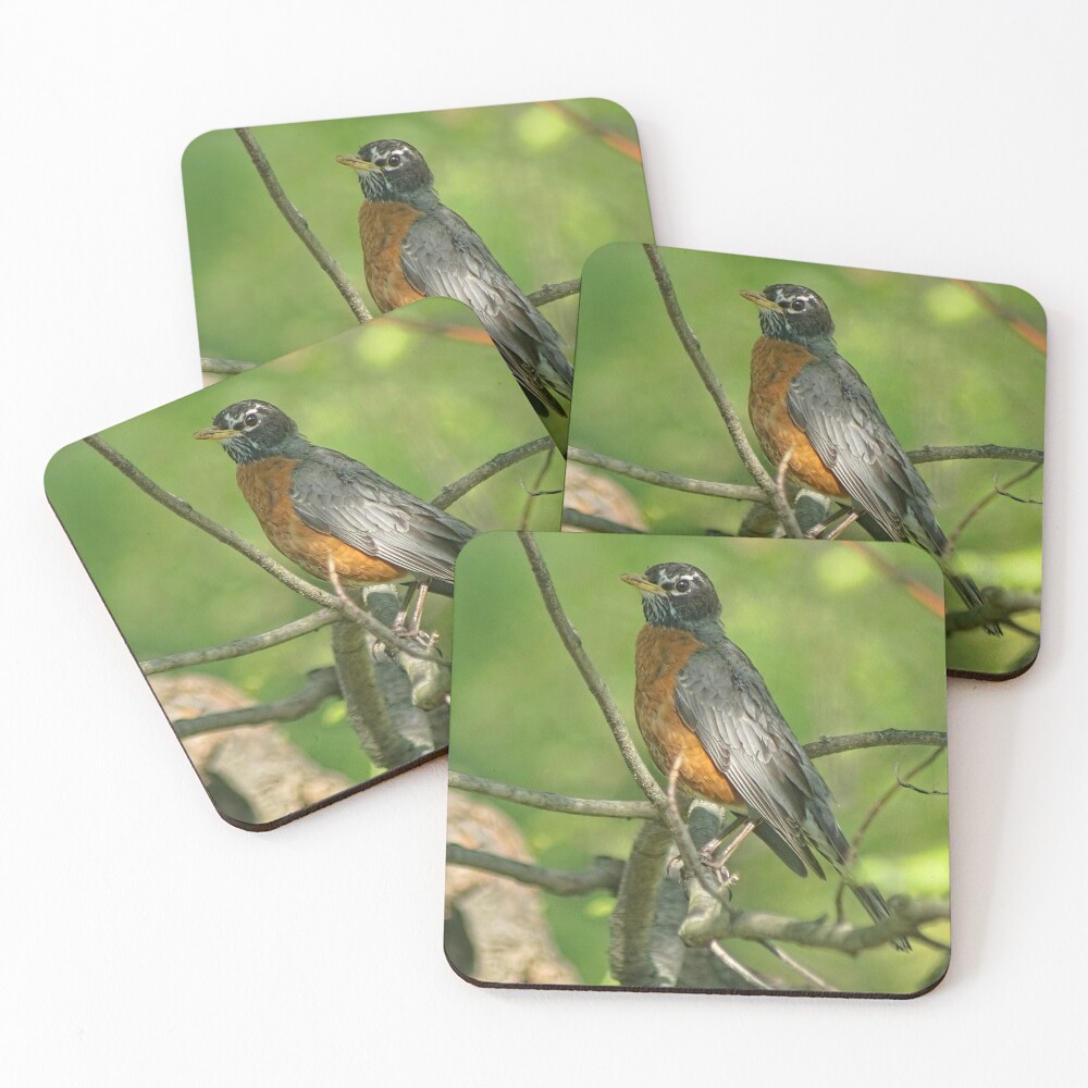 The Birds Are Singing And The Sun Is Shinning Coasters Set Of 4 For Sale By Lanrophot