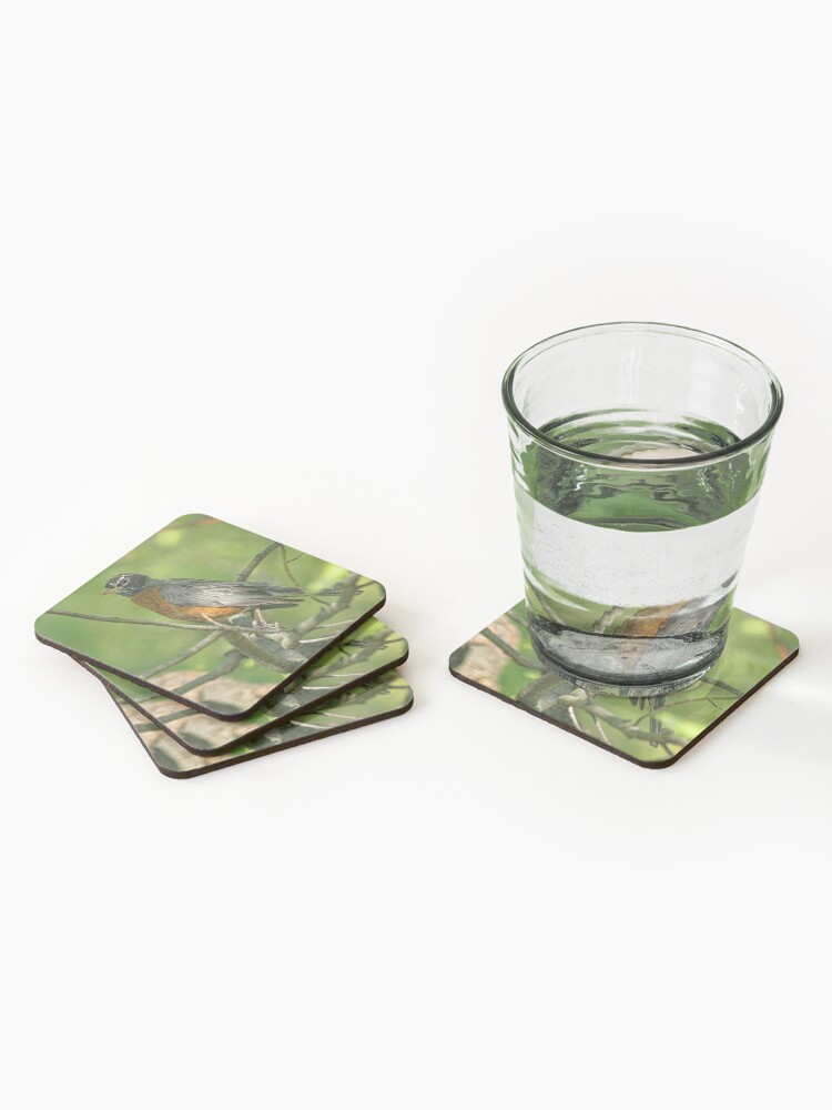 The Birds Are Singing And The Sun Is Shinning Coasters Set Of 4 For Sale By Lanrophot