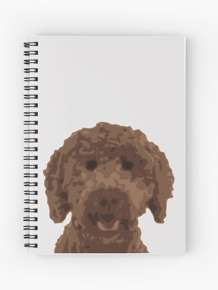 labradoodle teddy