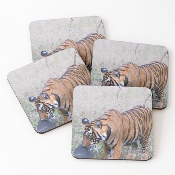 Item preview, Young Bengal Tiger Prowling designed and sold by Carole-Anne.