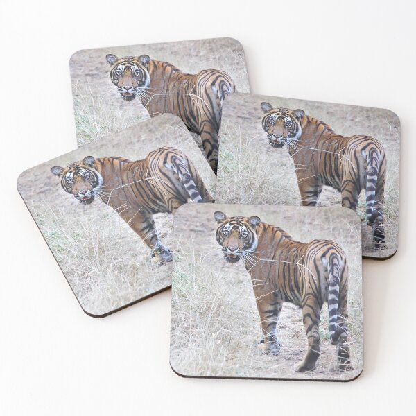 Item preview, Young Male Tiger on The Prowl designed and sold by Carole-Anne.