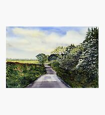 Woldgate, Late Spring Photographic Print