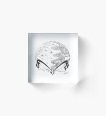 Fragile (Original) Acrylic Block