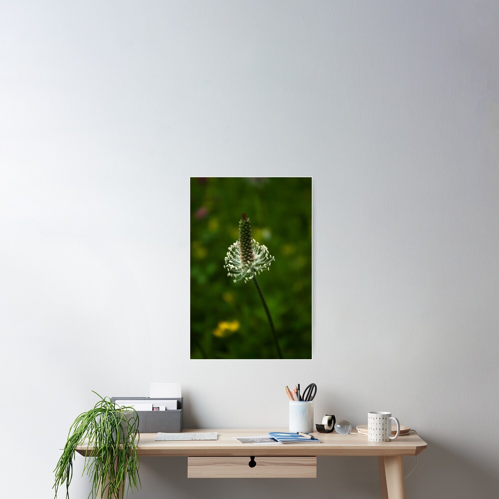 Item preview, Poster designed and sold by steppeland.