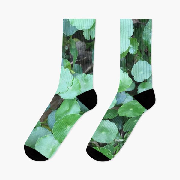 Item preview, Lush Green Circled Leaves - Nature designed and sold by joejiing.