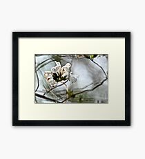 White satin...Got Featured Work Framed Print