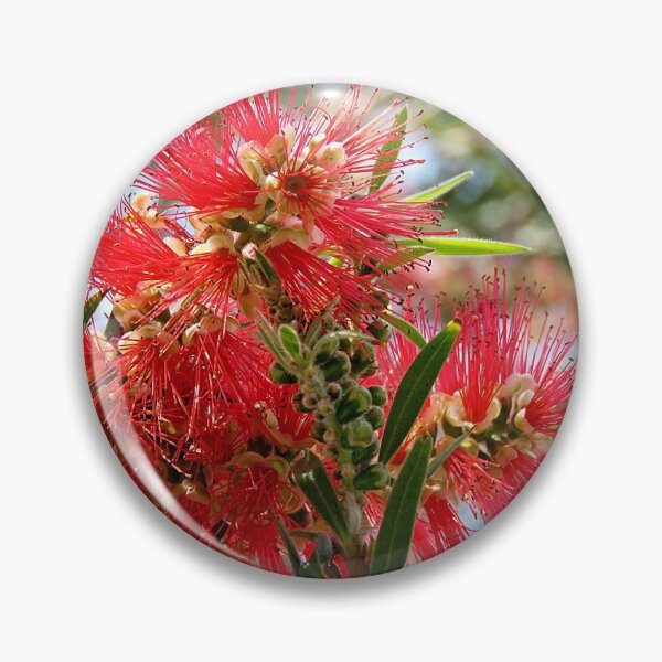 Item preview, Bottlebrush Flower designed and sold by Linda Walsh.