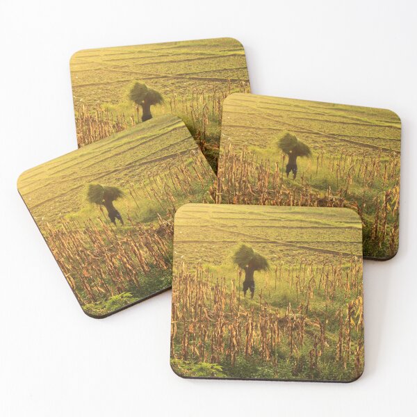 Item preview, Golden Fields designed and sold by Jamie Mitchell.
