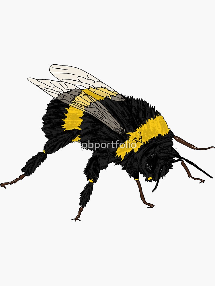 Bumble Bee by pbportfolio