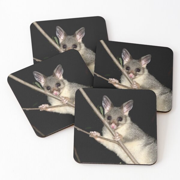 Item preview, © Australian brushtail possum designed and sold by GeoPipics.