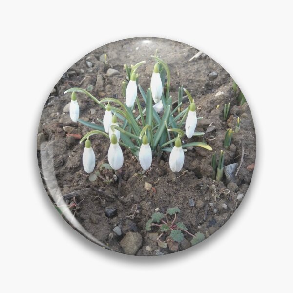 Item preview, Snowdrops designed and sold by miaterinka.