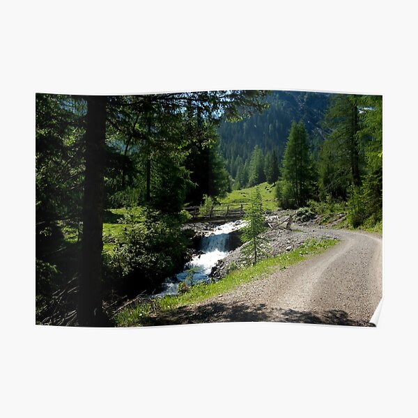 Path along the mountain stream Poster