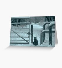 Warmth Greeting Card