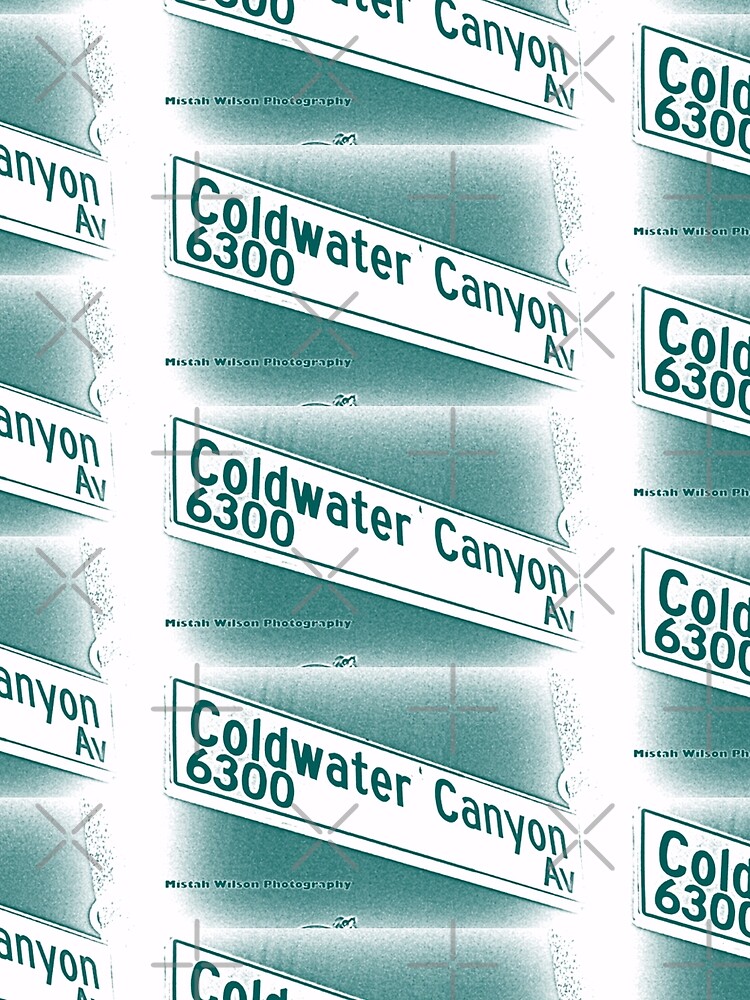 Coldwater Canyon Avenue, SFV, Los Angeles WATERY by Mistah Wilson by MistahWilson