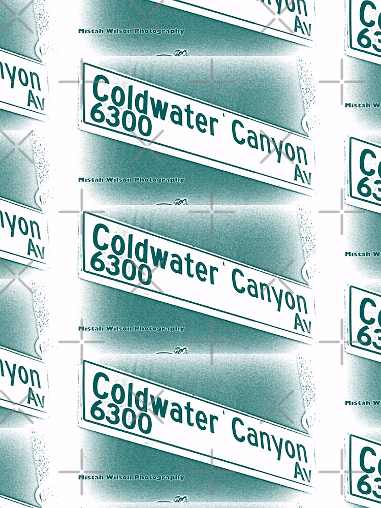 Coldwater Canyon Avenue, SFV, Los Angeles WATERY by Mistah Wilson by MistahWilson