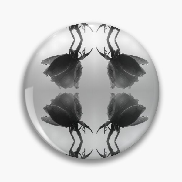 Aperçu de l'œuvre Rose Reflections créée et vendue par Jane Izzy Designs.