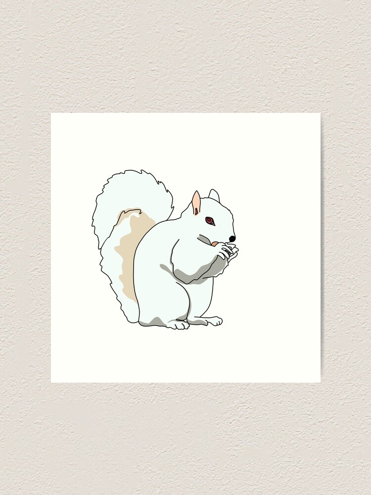 White Squirrel Art Print