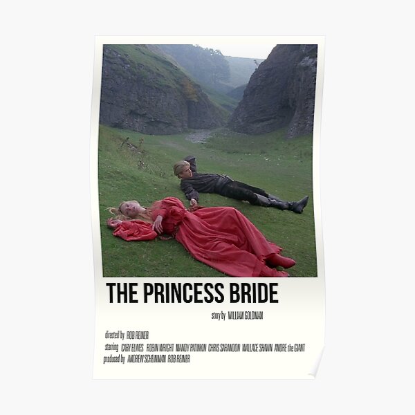 'the princess bride' film print Poster