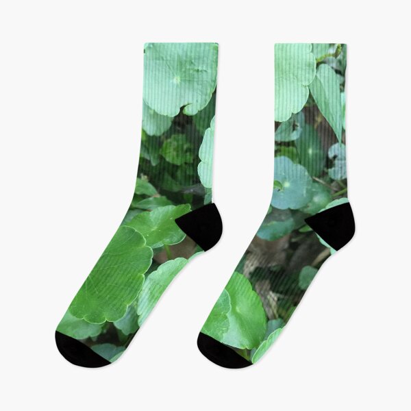 Item preview, Lush Green Circled Leaves - Nature designed and sold by joejiing.