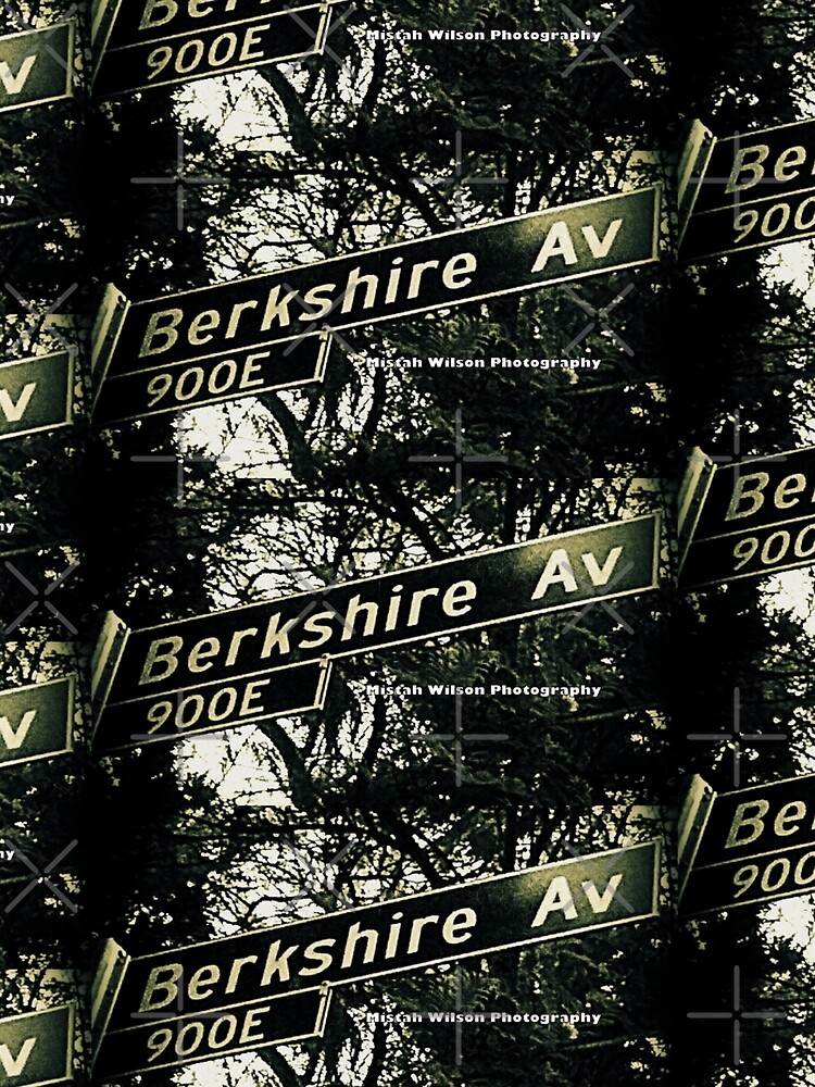 Berkshire Avenue, La Cañada Flintridge, CA by Mistah Wilson by MistahWilson