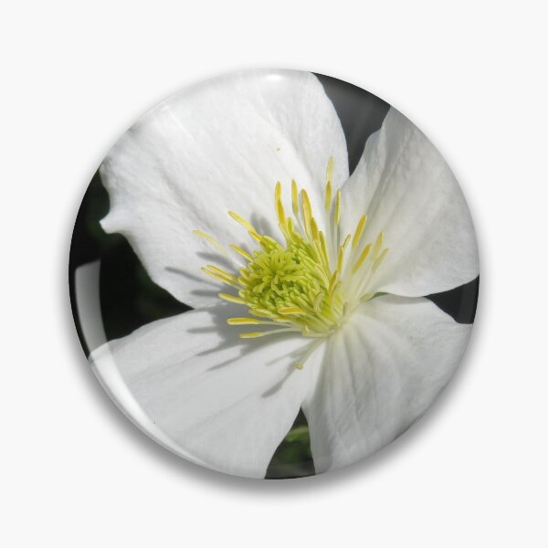 Item preview, clematis flower designed and sold by KathleenDawson.