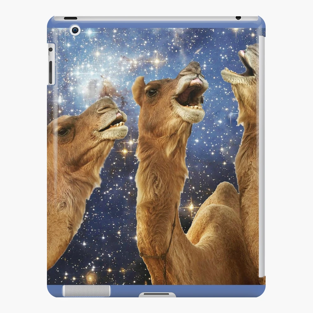 DJ Space Cat iPad Case & Skin for Sale by Eliotmad