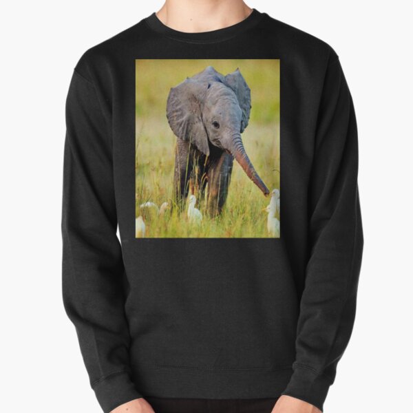 The Elephant House Sweatshirts Hoodies Redbubble - tokyo elephant roblox