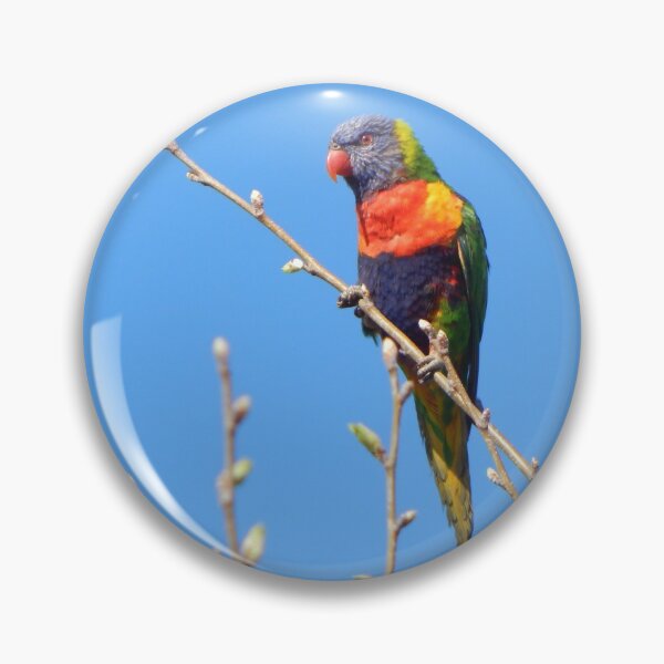 Item preview, Rainbow Lorikeet designed and sold by Jane Izzy Designs.
