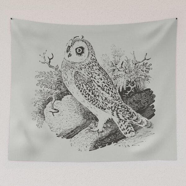 Item preview, Short-Eared Owl designed and sold by minimalcinema.