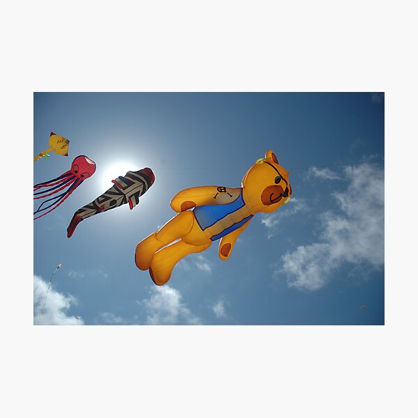 kite Photographic Print