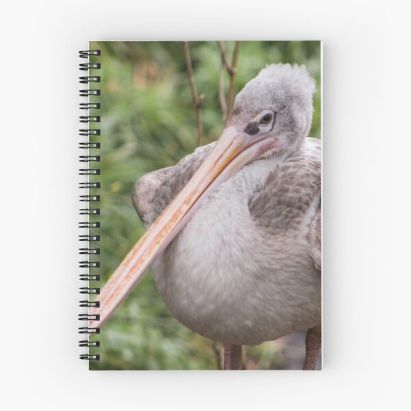 Item preview, Pink backed pelican  designed and sold by KcsArt87.