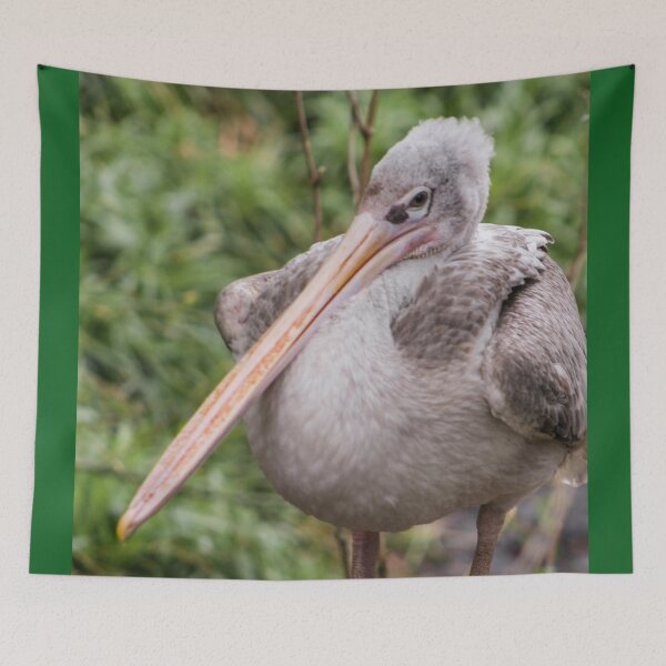 Item preview, Pink backed pelican  designed and sold by KcsArt87.