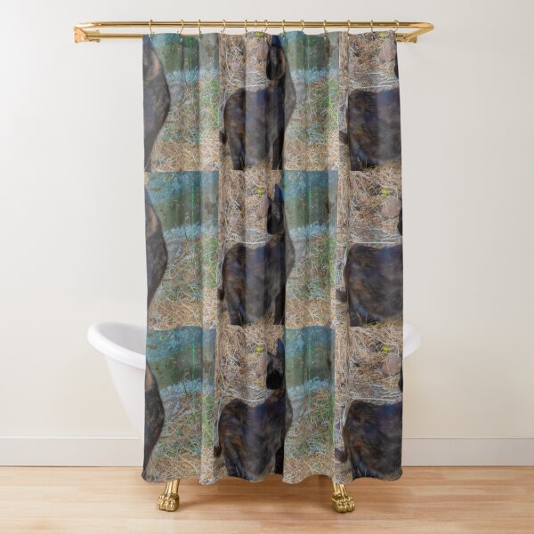 Gato de colores Shower Curtain