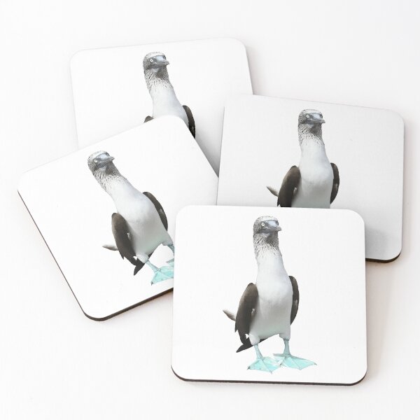 Item preview, Galapagos Blue-footed Boobie designed and sold by Samvara.