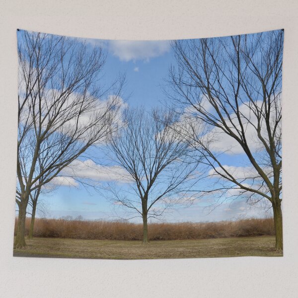 Item preview, Tranquil scenery - Nature designed and sold by joejiing.