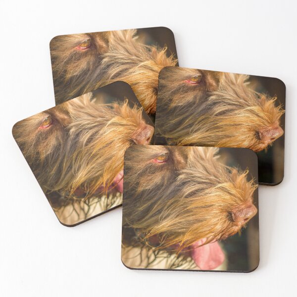 Item preview, When the sun goes down Spinone designed and sold by FOLK ART FUSION by heidiannemorris.