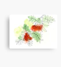 Rowan berry Canvas Print