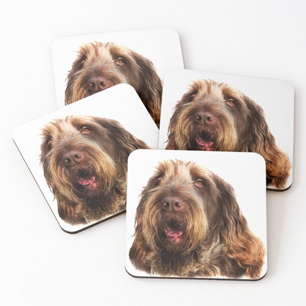 Portrait of a Brown Roan Spinone Coasters (Set of 4)