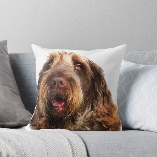 Artikel-Vorschau von Porträt eines Brown Roan Spinone, designt und verkauft von FOLK ART FUSION by heidiannemorris.