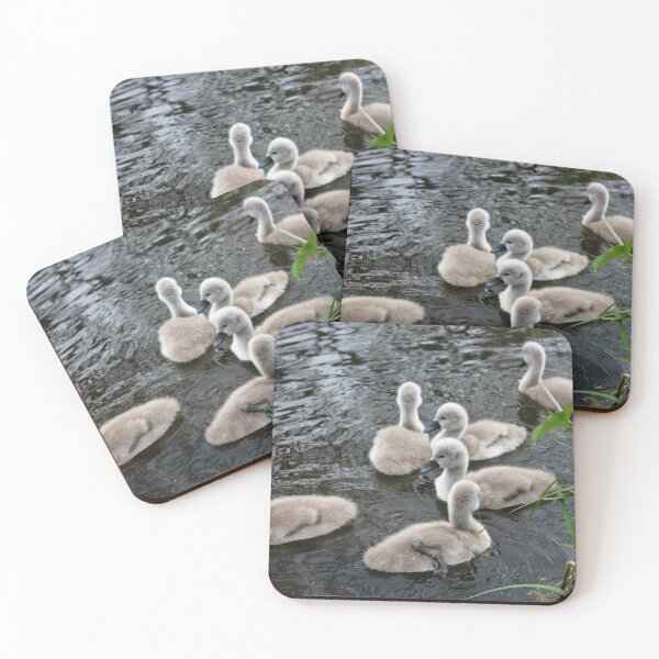 Item preview, Cygnets through the Grass designed and sold by dredfell.