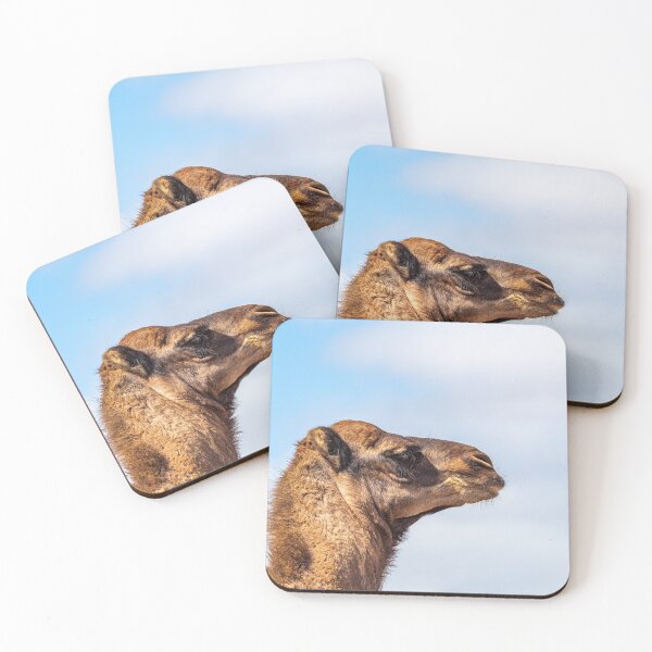 Item preview, Camel designed and sold by iCimages.net.