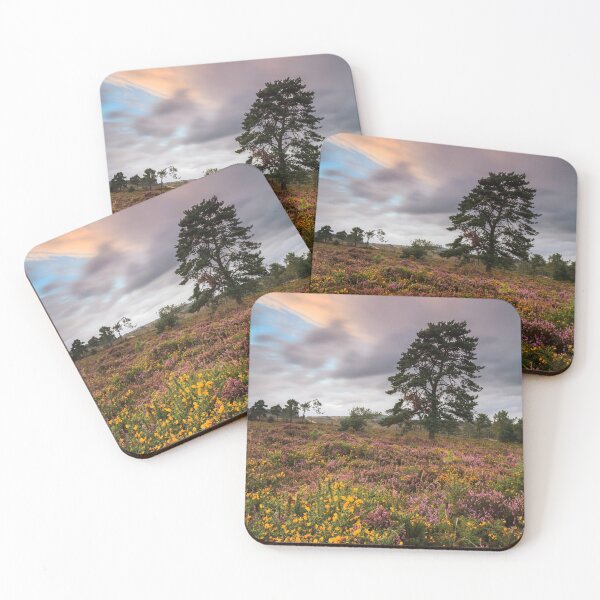 Item preview, Autumn Colour (Woodbury Common) designed and sold by bitm2007.