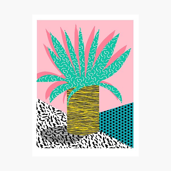 In the Mix - potted house plant tropical garden container garden art print botanical natural vegetarian palm dorm room art Photographic Print