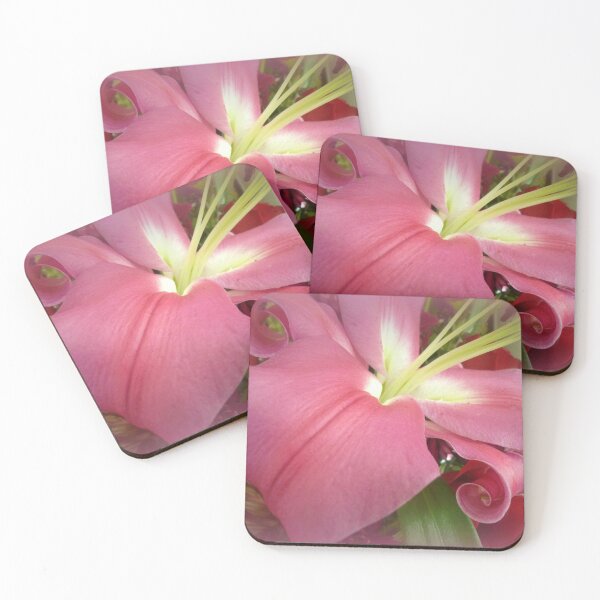 Item preview, Asiatic Lily yet to open designed and sold by EdsMum.