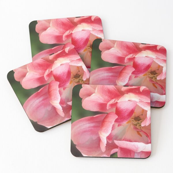 Item preview, Pink Tulip designed and sold by BC Family.
