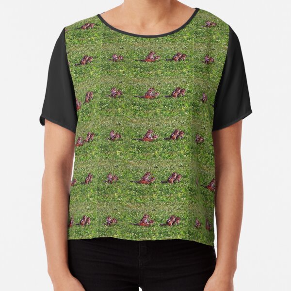 Baby Chipmunks First Day Collage Chiffon Top