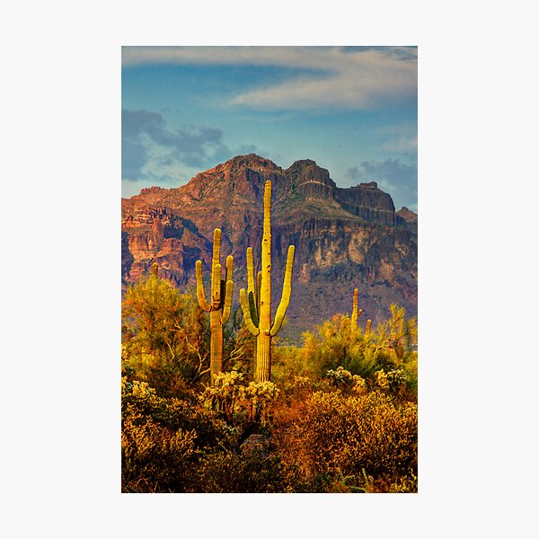 The Desert Golden Hour II Photographic Print