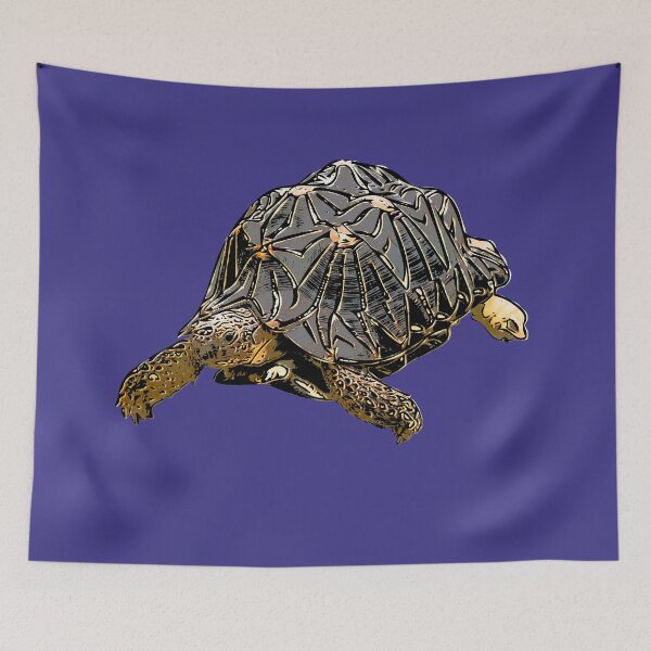 Item preview, Indian Star Tortoise Alternate Black Print  designed and sold by designsasstultd.