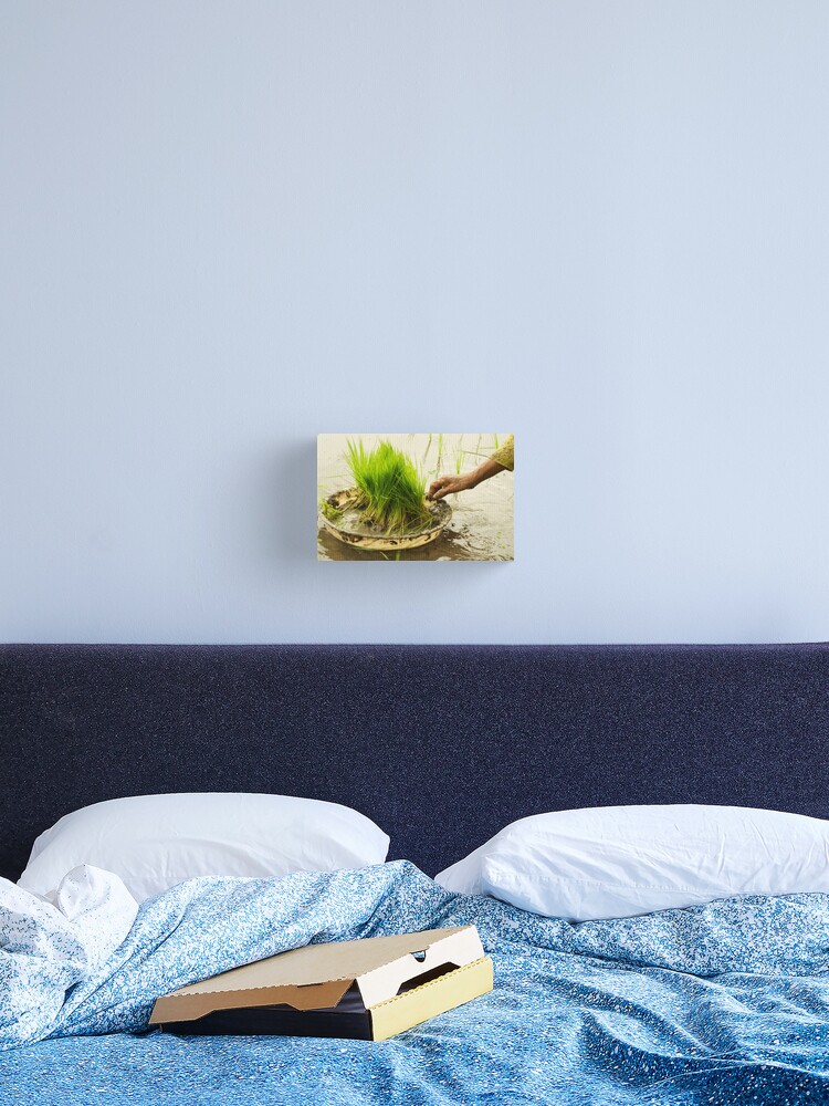 Thumbnail 2 of 3, Canvas Print, Planting Rice designed and sold by bareri.